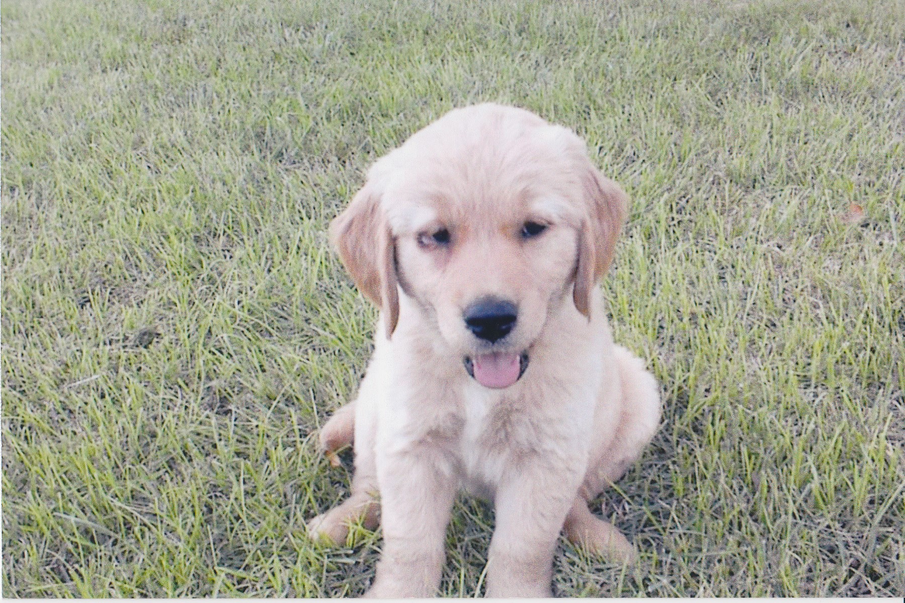 Callie's 1st Day Home
